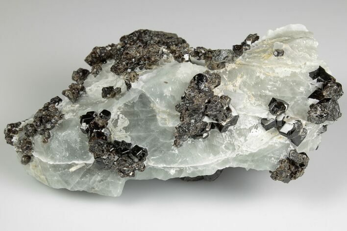 Lustrous Black Garnets with Blue Calcite - Mexico #190819